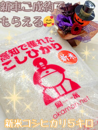 半期決算商談会開催中です♪